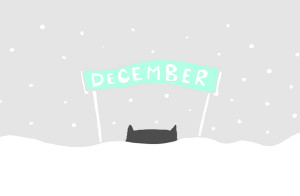 December kitten